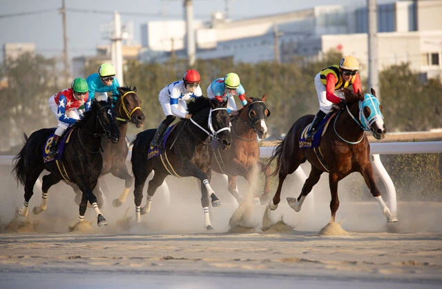 【競馬】「競馬予想AI」はどれくらい当たるのか? 過去には968倍、2644万円の払い戻し実績も!